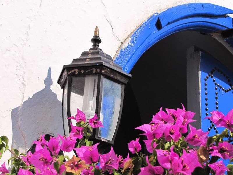 Pink bougainvillea against a blue door and white walls