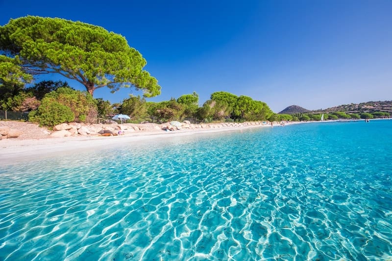 Tree-lined Santa Giulia beach on the French island of Corsica