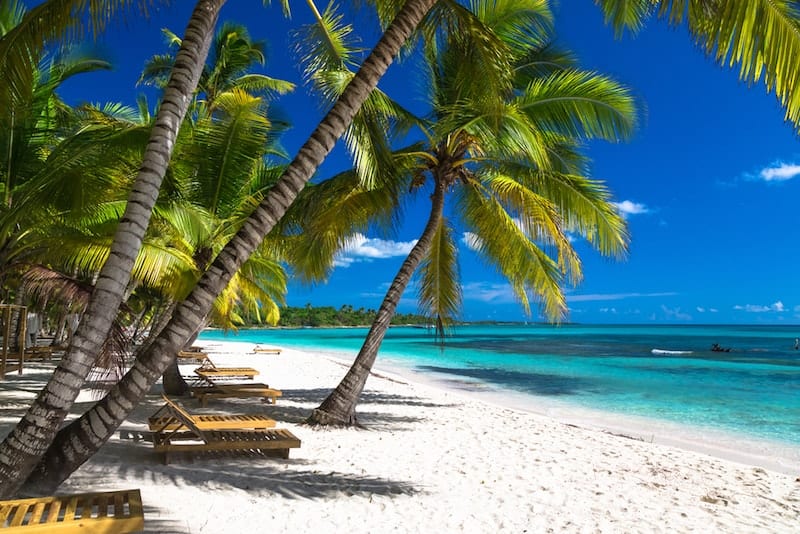 Palms and sunloungers on Saona beach