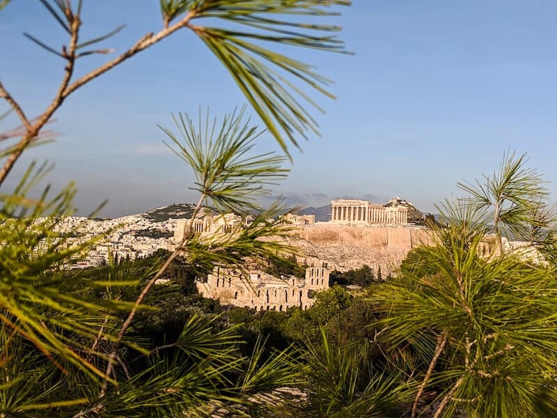 Acropolis of Athens through pines