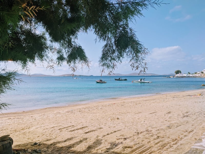 Tamarisk tree on Agios Ioannis beach