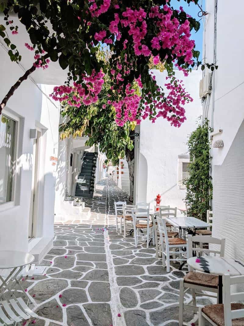 narrow street with flowers in Naoussa