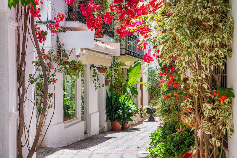 Pretty backstreet in Marbella old town.