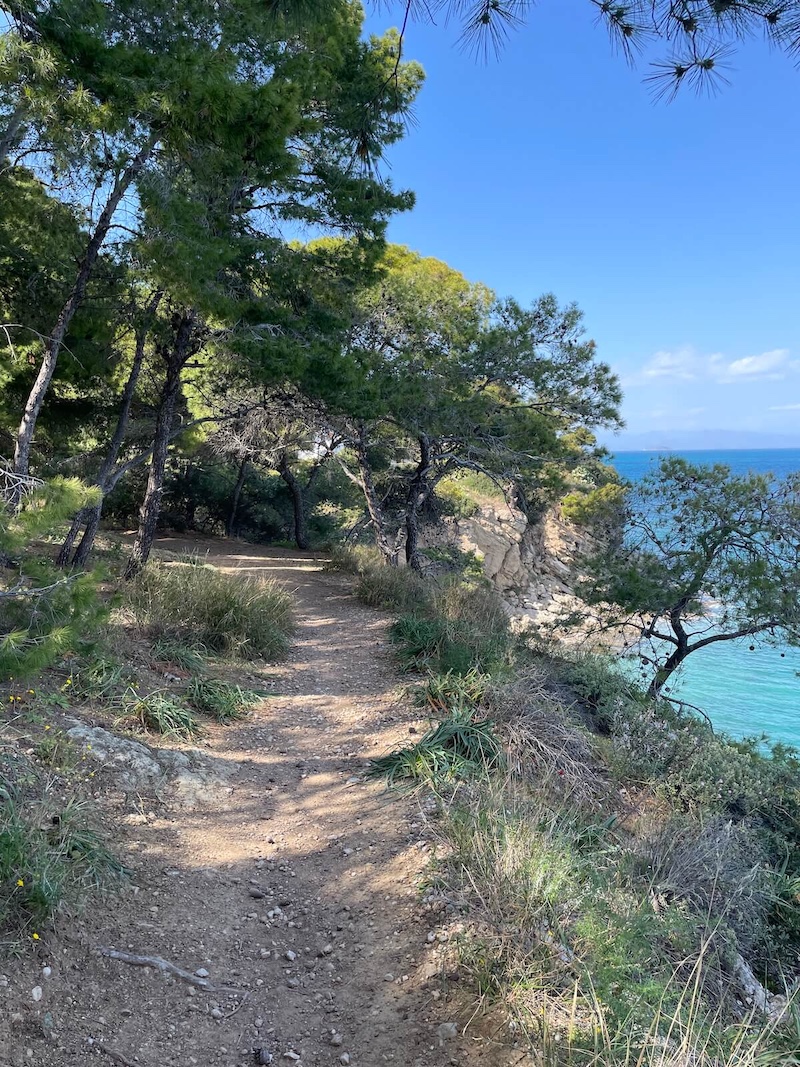 A path through pine forests on the way to Chalkiada.